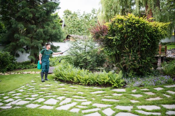 Best Tree Health Inspection  in Merrill, IA